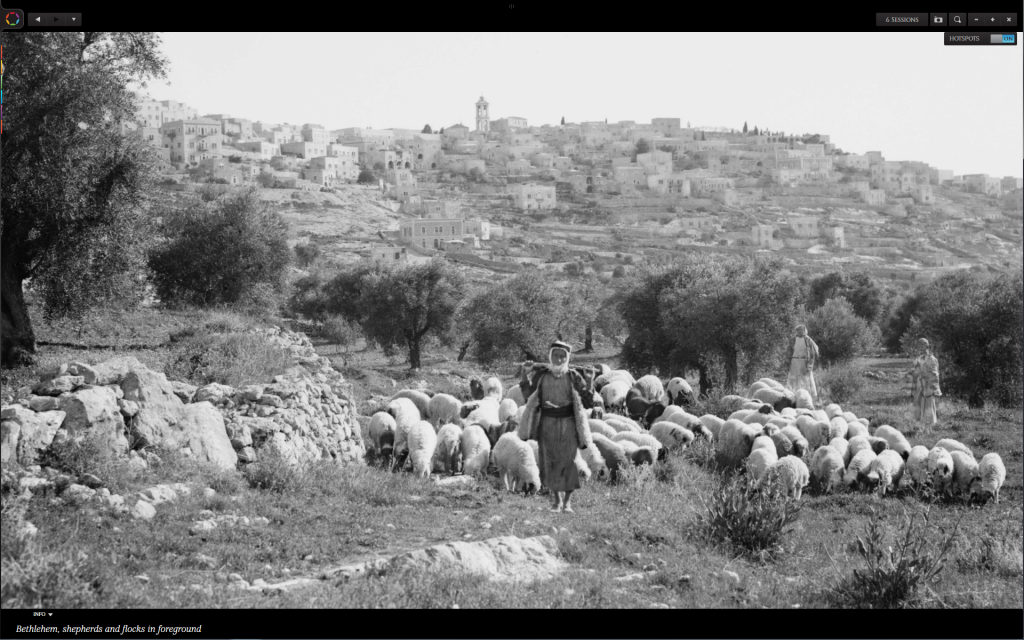 Bethlehem.Shepherd